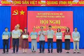 Pleiku: Tặng bằng khen cho 34 tập thể, cá nhân "Hoàn thành xuất sắc nhiệm vụ" 5 năm liền