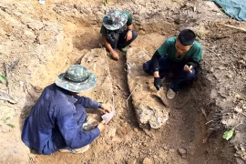 Đội K52 tìm kiếm, quy tập 22 hài cốt liệt sĩ tại 3 tỉnh Đông Bắc Campuchia