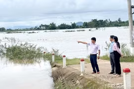 Lãnh đạo xã Tuy Phước Bắc kiểm tra các khu vực có nguy cơ ngập lụt trên địa bàn. Ảnh: ĐVCC