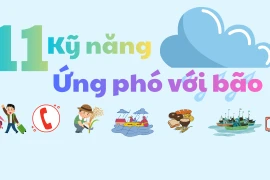 11 kỹ năng ứng phó với bão