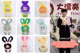 Thu hồi, tiêu hủy tất cả sản phẩm có họa tiết giống “đường lưỡi bò” trên búp bê Baby Three