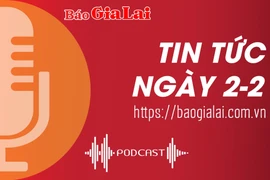 Tin tức ngày 2-2: Gia Lai giảm hơn 45% số vụ tai nạn giao thông trong 6 ngày nghỉ Tết