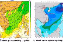 Vùng biển Gia Lai có mưa rào và giông rải rác