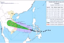 Gia Lai: Biển động dữ dội, sóng cao từ 3-5 m