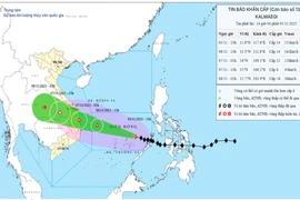 Gia Lai: Biển động dữ dội, sóng cao từ 3-5 m