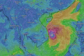 Bão đang tiến sát về đất liền.