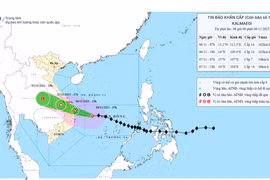Bản đồ dự báo quỹ đạo và cường độ của bão phát lúc 08h00, ngày 06/11/2025.