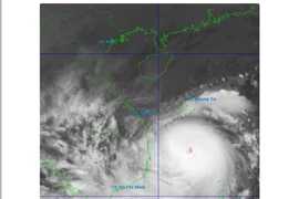 Bão số 13 chỉ còn cách Quy Nhơn khoảng 330 km, di chuyển 30 km/h
