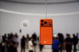 iPhone chiếm 26% smartphone bán ra tại Trung Quốc trong tháng 11, vượt xa Huawei