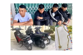 Công an tỉnh Gia Lai nhanh chóng làm rõ 4 đối tượng cướp tài sản