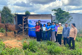 Trao sinh kế từ mô hình "Bò cái sinh sản" cho phụ nữ nghèo phường Chi Lăng