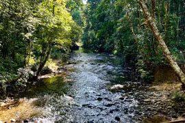 Cảnh báo lũ quét, sạt lở đất trên các sườn dốc ở một số xã thuộc huyện Kbang