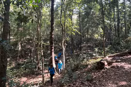 Việt Nam được xếp vào nhóm 'rủi ro thấp' trong Quy định chống phá rừng của EU