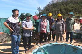 Phó Chủ tịch Thường trực UBND tỉnh Gia Lai Nguyễn Tuấn Thanh kiểm tra và chỉ đạo công tác khắc phục hậu quả bão số 13 tại khu vực ven biển phường Quy Nhơn Nam.