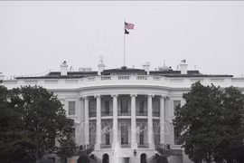 Nhiều thành viên Hội đồng Nhân văn Quốc gia của Mỹ bị sa thải