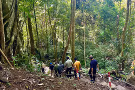 Gia Lai hưởng ứng Ngày Quốc tế đa dạng sinh học