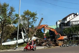 Gia Lai: Huy động toàn bộ lực lượng tại chỗ dọn dẹp vệ sinh môi trường sau bão