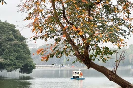 Mùa thu Hà Nội dịu dàng, lãng mạn. Ảnh: P.V