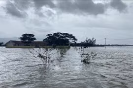 Nước lũ vùng hạ lưu sông Kôn giảm dần