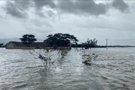 Nước lũ vùng hạ lưu sông Kôn giảm dần