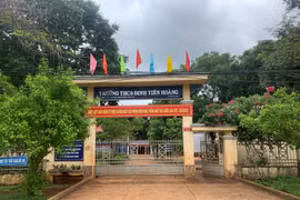 Sắp xếp lại đơn vị sự nghiệp công lập gắn với mô hình chính quyền địa phương 2 cấp