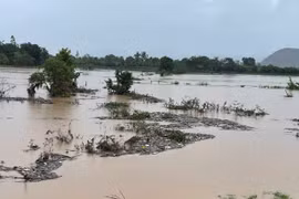 Cảnh báo lũ khẩn cấp trên sông Ba, sông Kôn, trên báo động 3