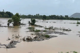 Cảnh báo lũ khẩn cấp trên sông Ba, sông Kôn, trên báo động 3