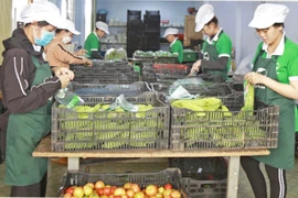 Gia Lai ban hành kế hoạch cải thiện môi trường kinh doanh