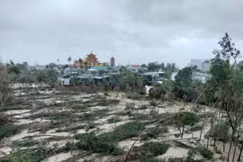 Gia Lai kích hoạt kịch bản ứng phó mưa lũ cấp độ 3.1 đối với 58 xã, phường phía Đông tỉnh