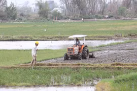 Tập trung chuyển đổi cây trồng, mở rộng vùng trồng xuất khẩu trong năm 2026