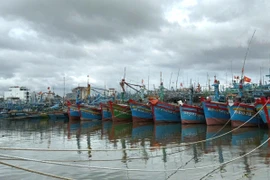 Nghiêm cấm tàu thuyền xuất bến cho đến khi bão số 13 tan