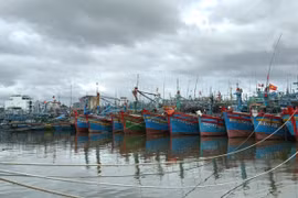 Nghiêm cấm tàu thuyền xuất bến cho đến khi bão số 13 tan