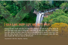 Gia Lai: Hợp lực để bứt phá