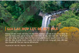Gia Lai: Hợp lực để bứt phá