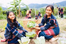 Học Bác từ những điều bình dị