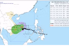 Dự báo chiều 30-11, bão số 15 cách bờ biển Gia Lai khoảng 340 km, gió giật cấp 13
