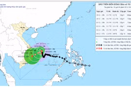 Bão số 15 hầu như ít dịch chuyển, gây biển động rất mạnh, sóng cao 3-5 m