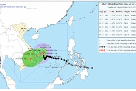 Dự báo chiều 30-11, bão số 15 cách bờ biển Gia Lai khoảng 340 km, gió giật cấp 13
