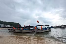 Các địa phương cần thông báo cho thuyền trưởng, chủ các phương tiện, tàu thuyền đang hoạt động trên biển biết để chủ động phòng tránh mưa giông, sóng lớn trên biển. Ảnh: P.V