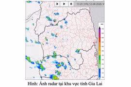 Một số khu vực tỉnh Gia Lai đề phòng giông lốc, mưa lớn cục bộ
