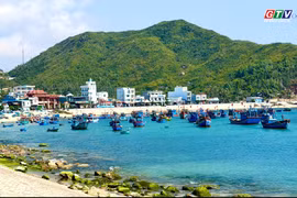 Mùa rêu xanh Nhơn Hải