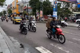 Dân số Việt Nam đứng thứ 16 thế giới, thứ 3 Đông Nam Á