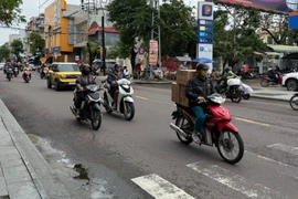 Dân số Việt Nam đứng thứ 16 thế giới, thứ 3 Đông Nam Á