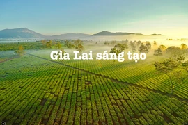 GTV online ra mắt chương trình mới Gia Lai sáng tạo