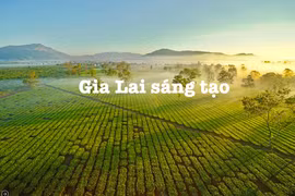 GTV online ra mắt chương trình mới Gia Lai sáng tạo