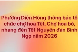 Phường Diên Hồng thông báo tổ chức chợ hoa Tết, chợ hoa bó, nhang đèn Tết Nguyên đán Bính Ngọ năm 2026