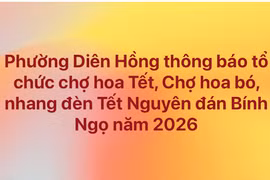Phường Diên Hồng thông báo tổ chức chợ hoa Tết, chợ hoa bó, nhang đèn Tết Nguyên đán Bính Ngọ năm 2026