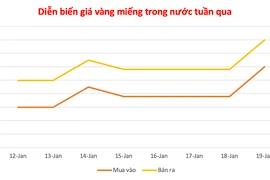Sau 3 ngày bất động, vàng trong nước bất ngờ lập đỉnh mới với 165 triệu đồng/lượng