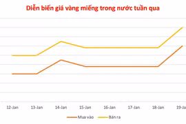 Sau 3 ngày bất động, vàng trong nước bất ngờ lập đỉnh mới với 165 triệu đồng/lượng