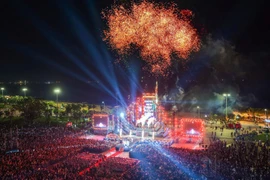 Bắn pháo hoa tầm thấp trong dịp Tết Nguyên đán Bính Ngọ tại Quảng trường Nguyễn Tất Thành và Đại Đoàn Kết